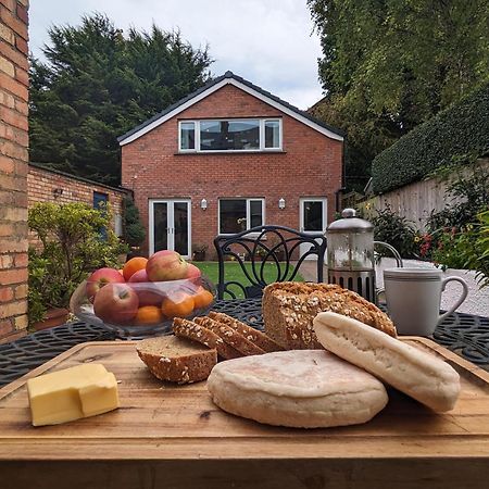 Bt 9 Granny Flat & Walled Garden Belfast Buitenkant foto