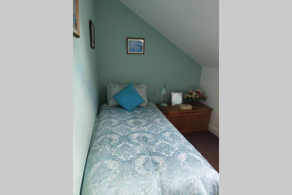 Bt 9 Granny Flat & Walled Garden Belfast Buitenkant foto
