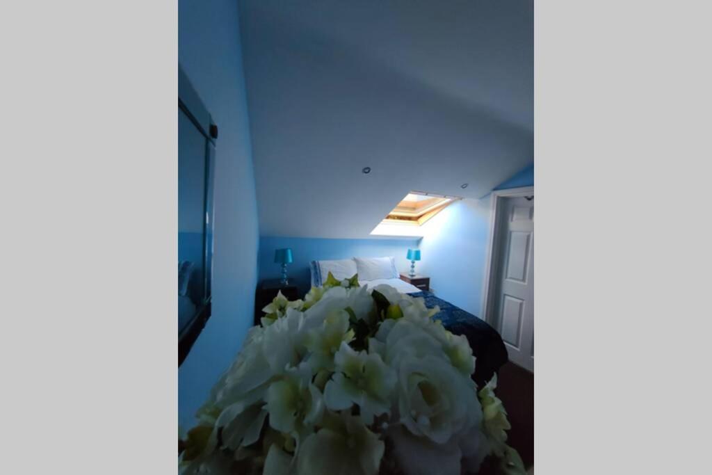 Bt 9 Granny Flat & Walled Garden Belfast Buitenkant foto